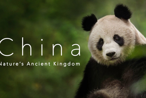China: Antiguo reino animal