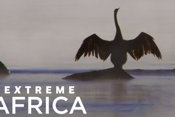 Grandes documentales: África extrema