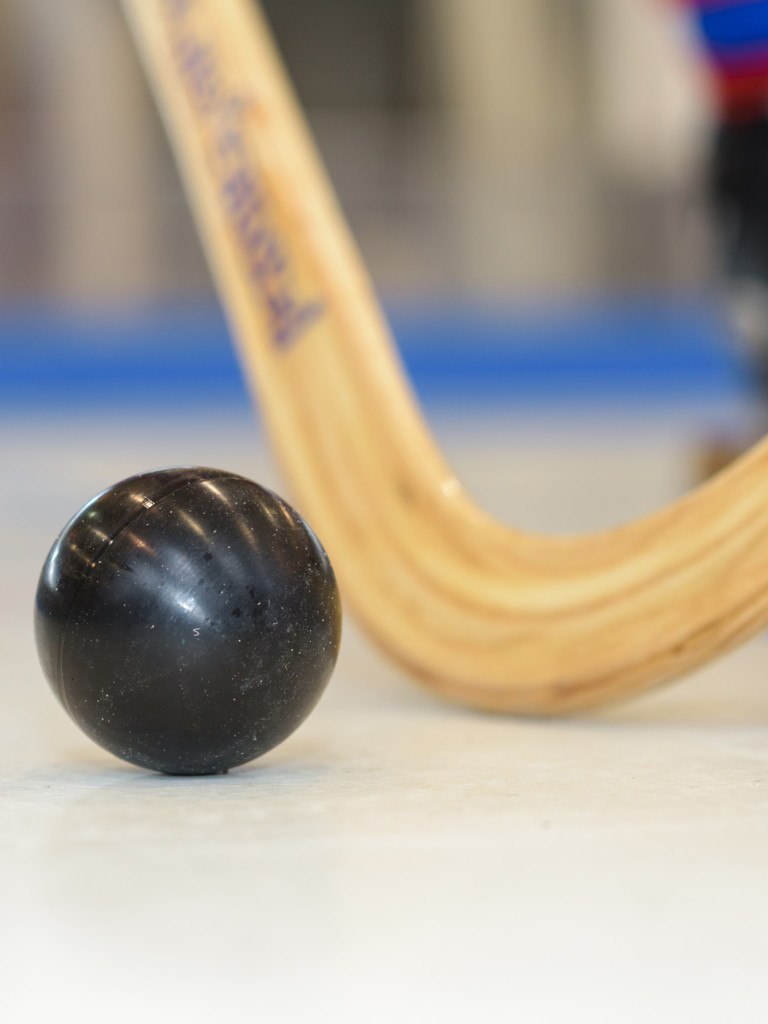 Mundial masculino de hockey patines (Programa deportivo) SincroGuia TV