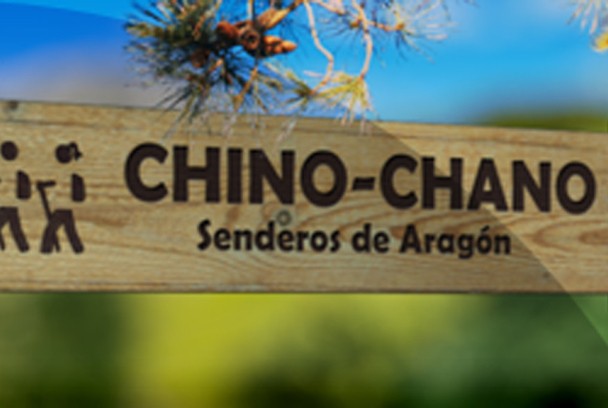 Chino chano