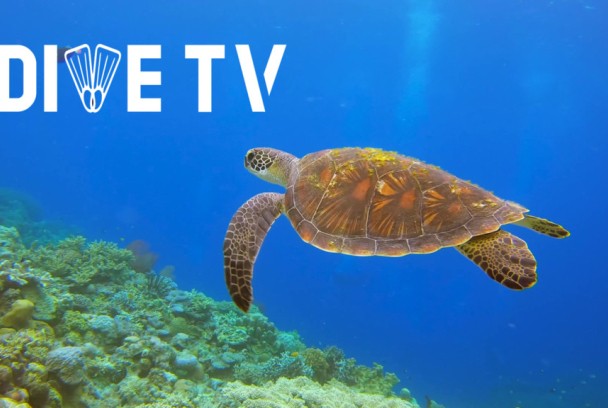 DiveTV