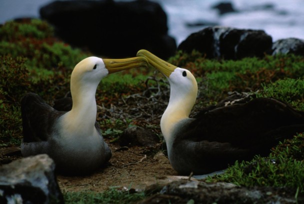 Los secretos naturales de Ecuador